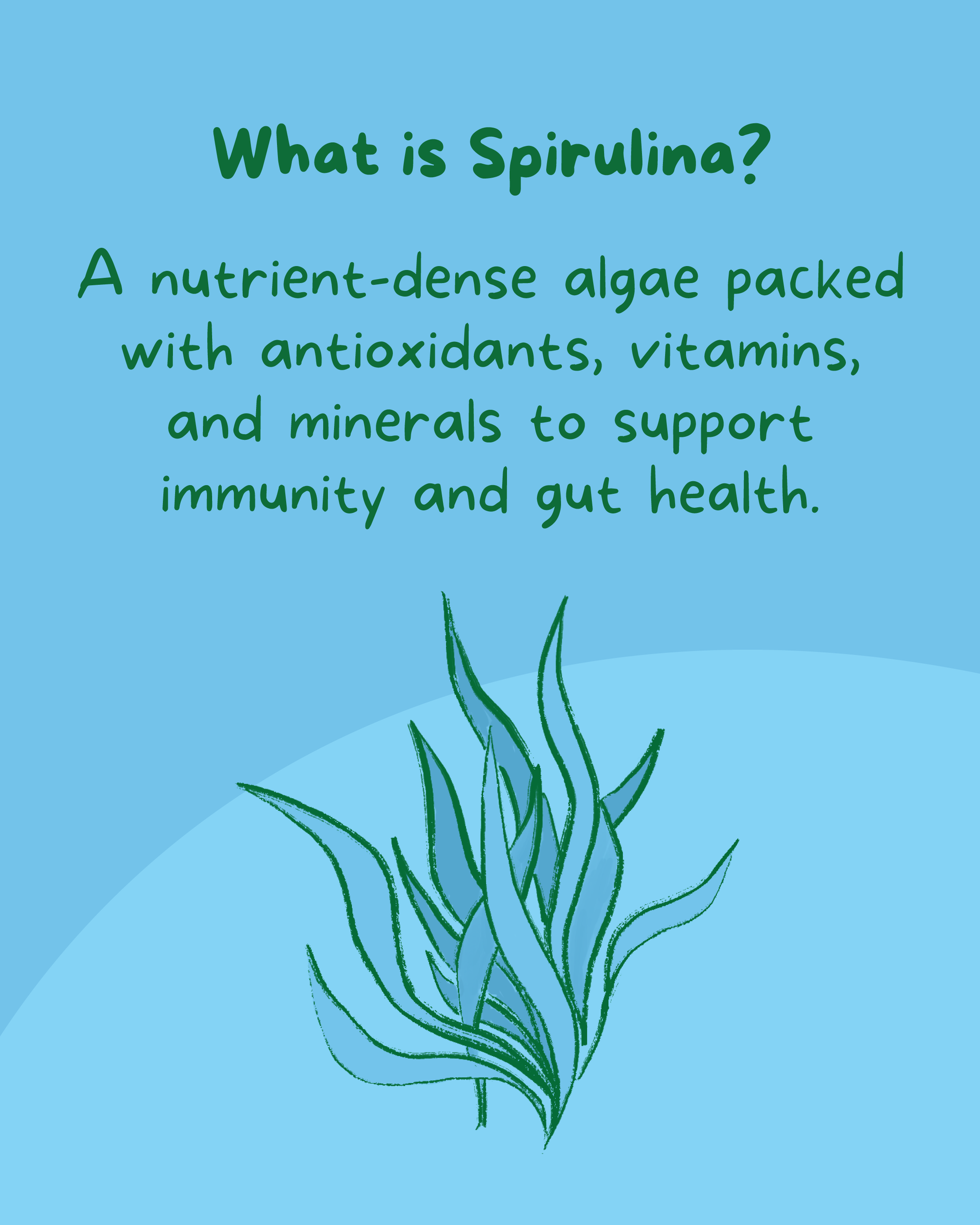 PetCubes Spirulina Organic Supplement for Dogs & Cats