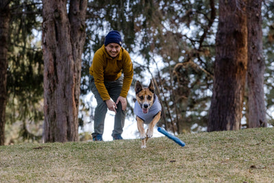 Ruffwear Gnawt-a-Stick™ Natural Rubber Floating Throw Dog Toy (Purple Orchid)