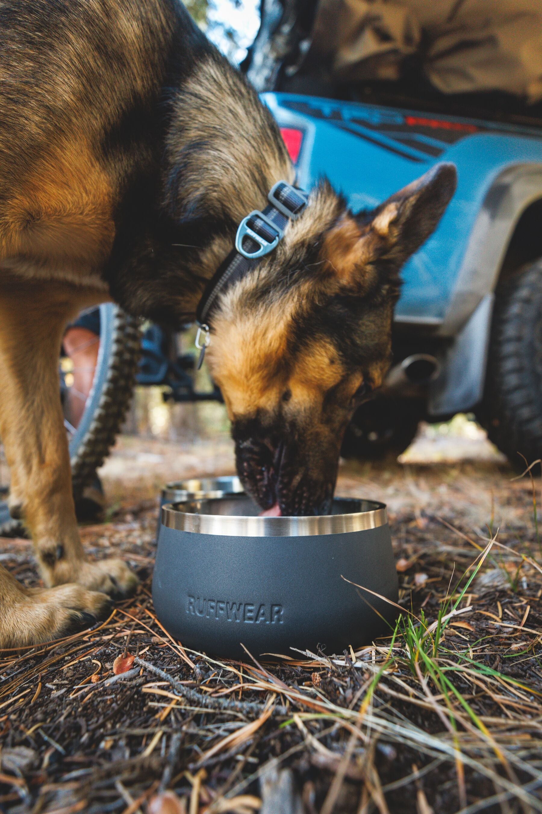 Ruffwear Basecamp⢠Sound-Dampening Hard-Sided Dog Bowl (Basalt Gray)