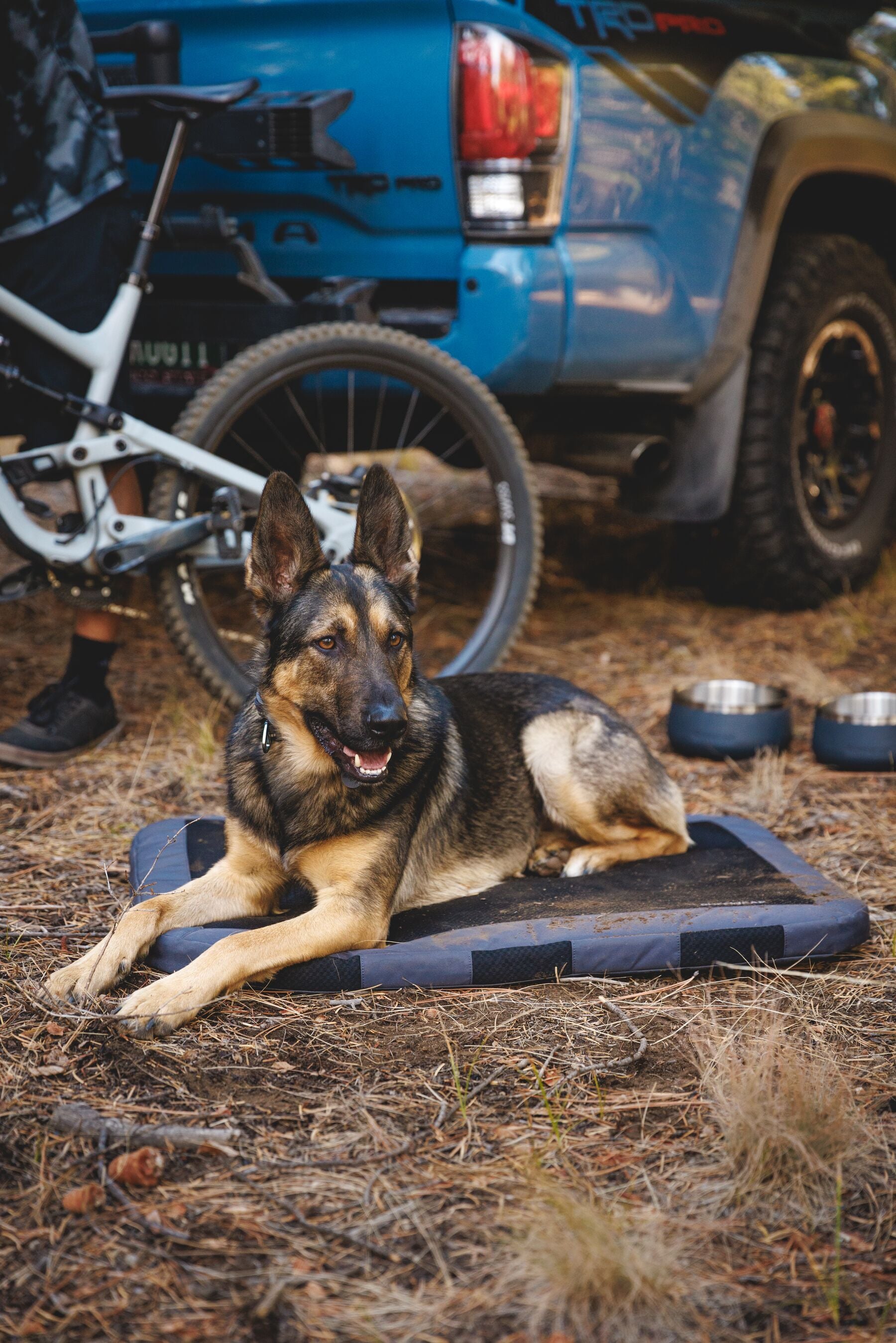 Ruffwear Basecamp⢠Sound-Dampening Hard-Sided Dog Bowl (Basalt Gray)