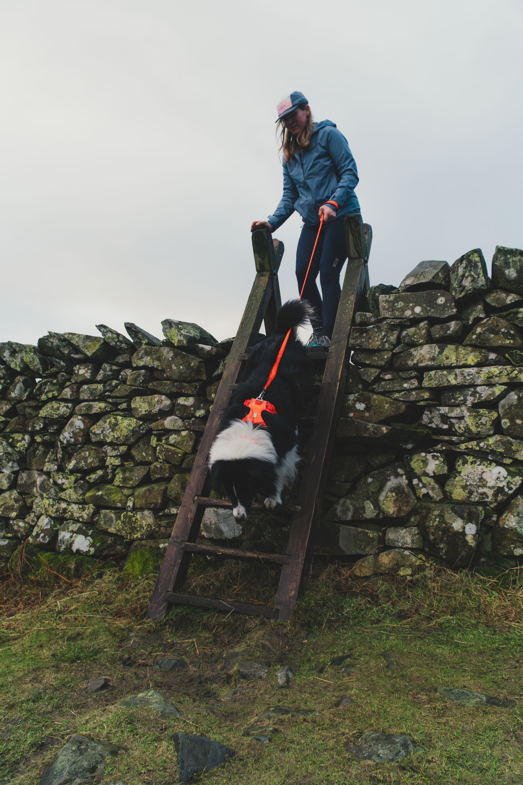 Ruffwear Front Range⢠Dog Leash With Padded Handle (Blaze Orange)
