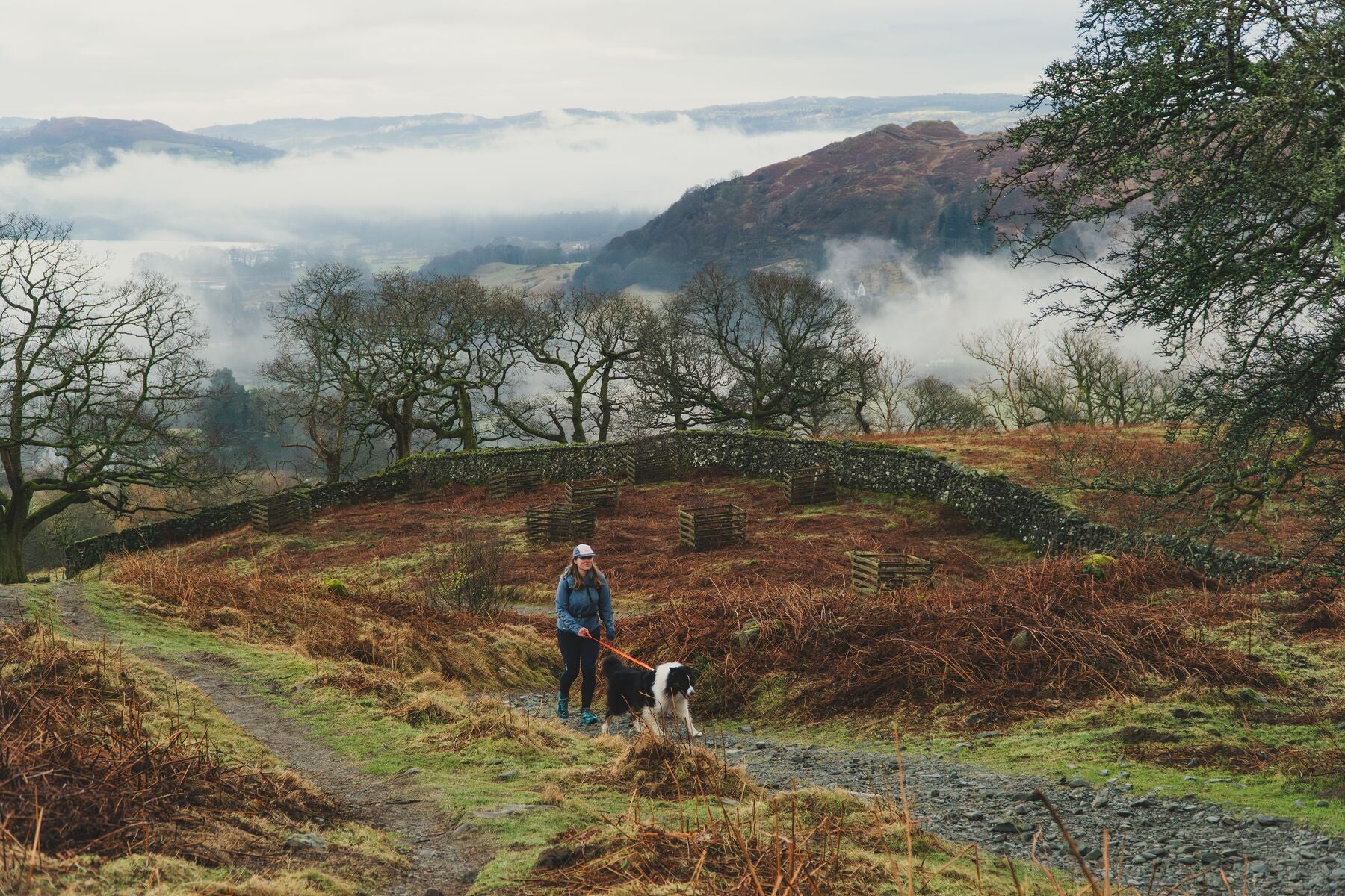 Ruffwear Front Range⢠Dog Leash With Padded Handle (Blaze Orange)