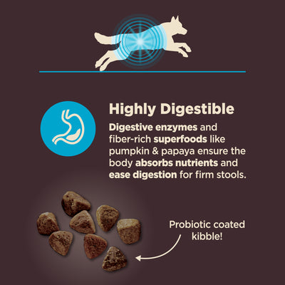 Wellness CORE Digestive Health Wholesome Grains Adult Dry Dog Food (Whitefish & Brown Rice Recipe)