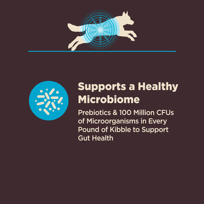 Wellness CORE Digestive Health Wholesome Grains Adult Dry Dog Food (Whitefish & Brown Rice Recipe)