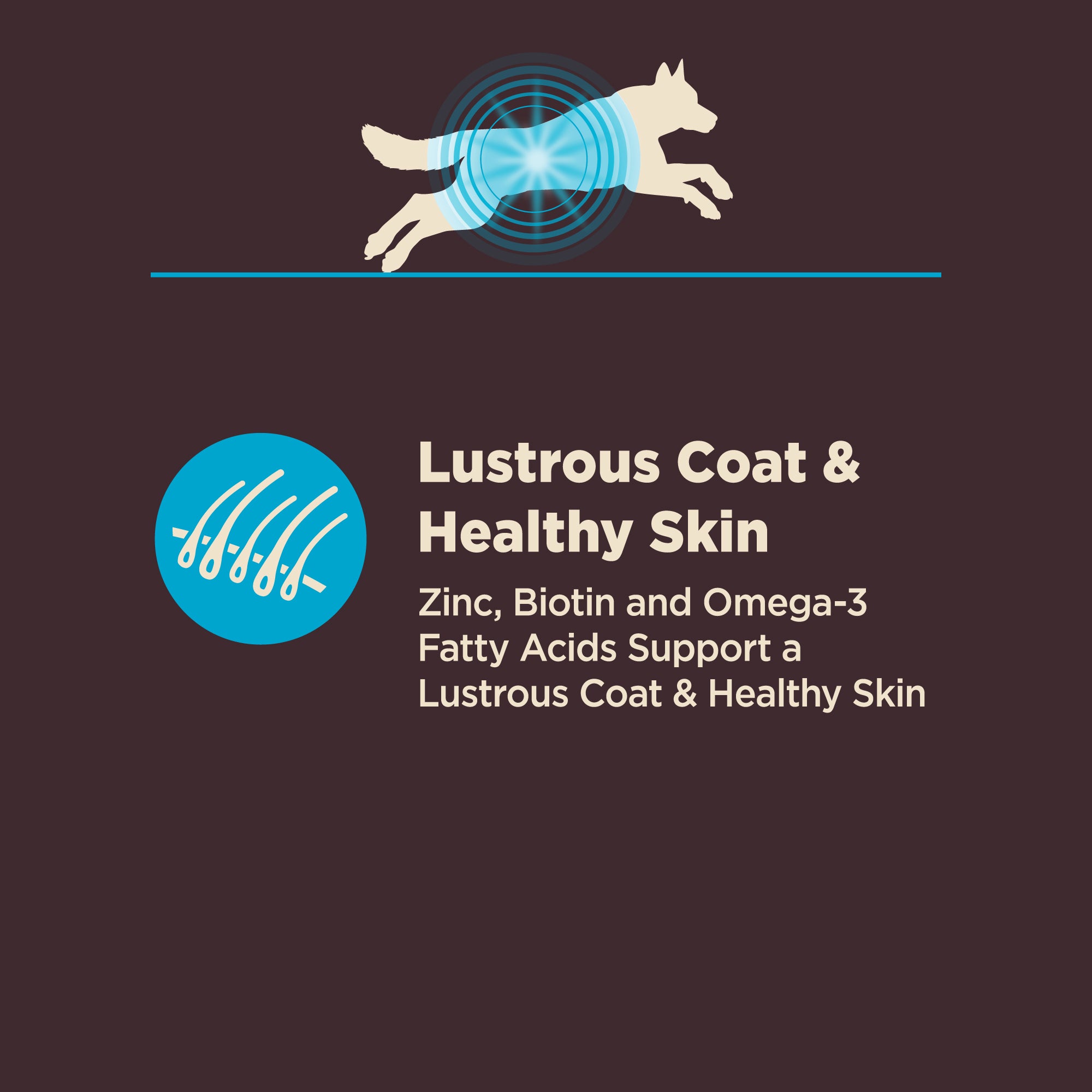 Wellness CORE Digestive Health Wholesome Grains Adult Dry Dog Food (Whitefish & Brown Rice Recipe)