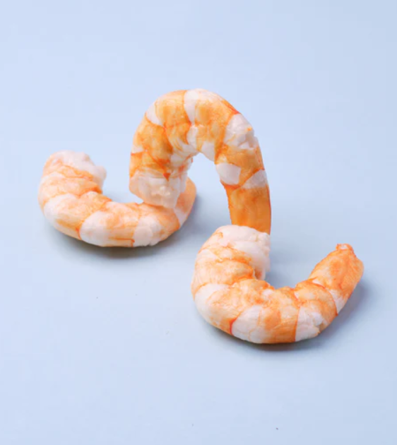 WildChow Freeze Dried Dog Treats (Hae Bee Prawns)