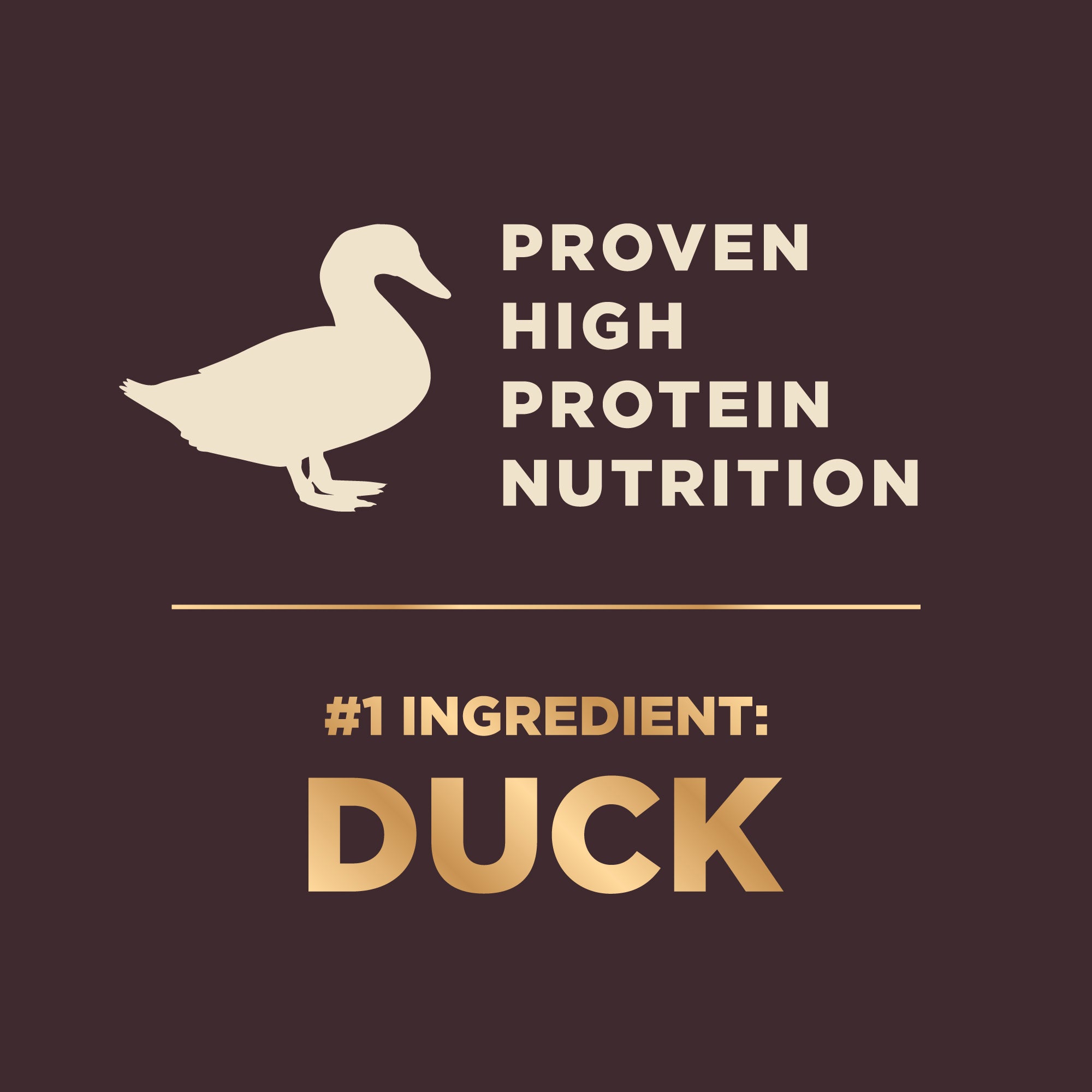 Wellness CORE+ Grain Free Wild Game Adult Dry Dog Food (Duck, Lamb Meal, Wild Boar & Rabbit Recipe)