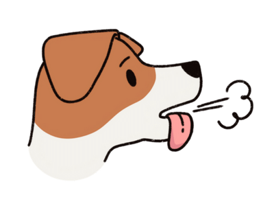 Shop Dog Anxiety & Stress Products At Singapore's Best Online Pet Store - Good Dog People
