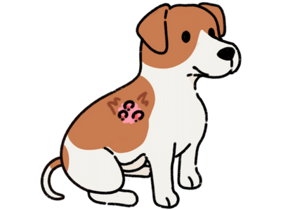 Shop Dry Dog Kibbles At Singapore's Best Online Pet Store - Good Dog People