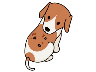 Shop Dog Flea & Tick Control Products At Singapore's Best Online Pet Store - Good Dog People