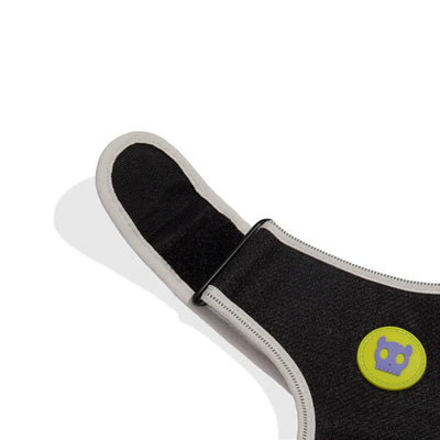 Zee.Dog Nox Adjustable Air Mesh Harness for Dogs (Nox)