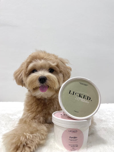 Licked Super Tubby Froyo Frozen Dog Treats (Go Bananas)