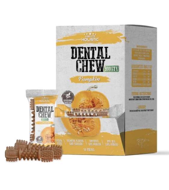 $1 ONLY: Absolute Holistic Boost (Pumpkin) Dental Dog Chews - Single Pack - Good Dog Peopleā¢