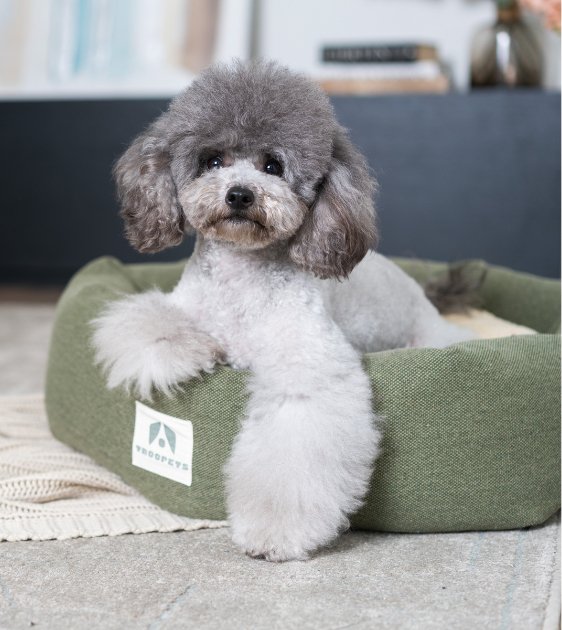 10% OFF: TROOPETS Round Dog Bed - Good Dog Peopleā¢