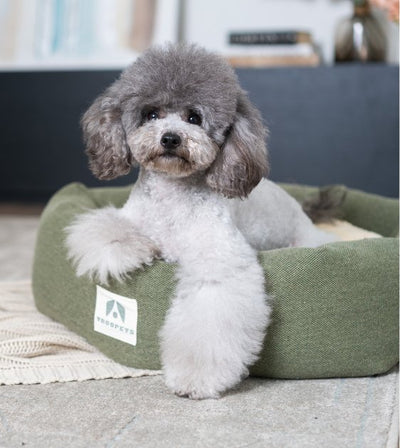 10% OFF: TROOPETS Round Dog Bed - Good Dog Peopleā¢