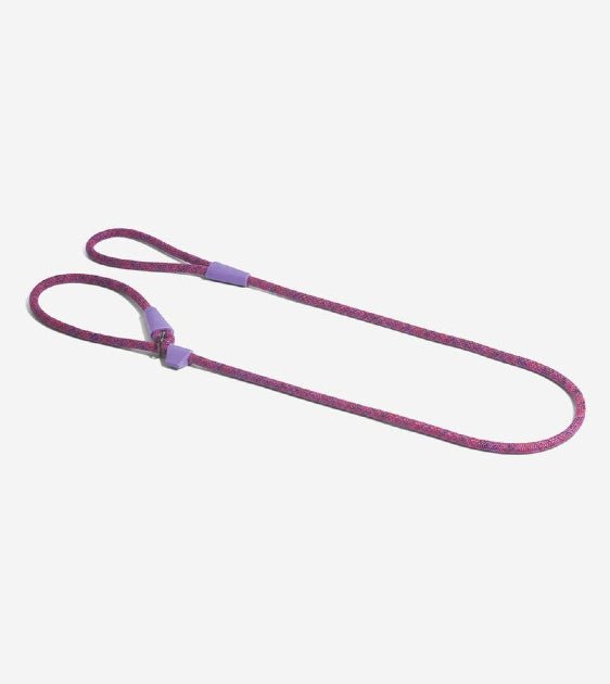 10% OFF: Zee.Dog Cosmo Slip-On Dog Leash - Good Dog Peopleā¢