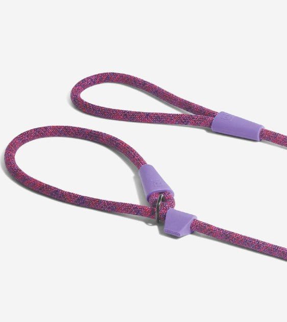 10% OFF: Zee.Dog Cosmo Slip-On Dog Leash - Good Dog Peopleā¢