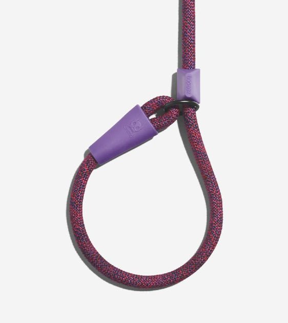 10% OFF: Zee.Dog Cosmo Slip-On Dog Leash - Good Dog Peopleā¢