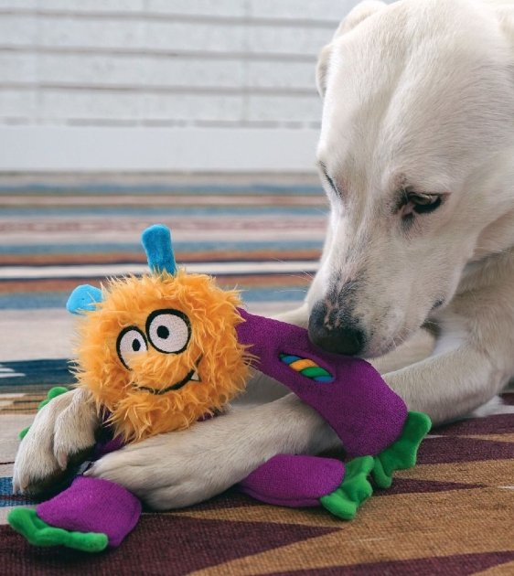 20% OFF: KONG Sneakerz Knots Dog Toy (Assorted Colours) - Good Dog People™