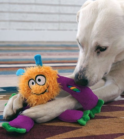 20% OFF: KONG Sneakerz Knots Dog Toy (Assorted Colours) - Good Dog People™