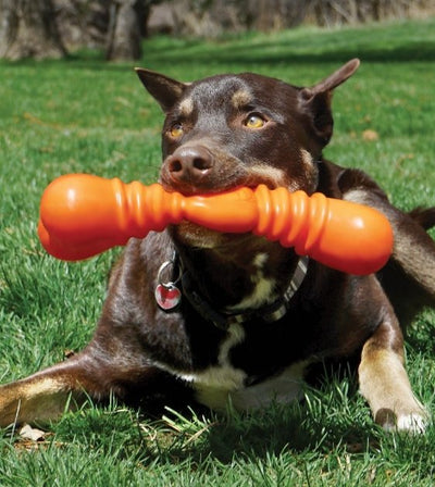 20% OFF: KONG SqueakStix Wigglerz Dog Toy - Good Dog Peopleā¢