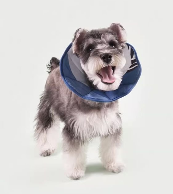 20% OFF: SALA First Aid Comfy Recovery E-Collar For Dogs & Cats - Good Dog Peopleā¢
