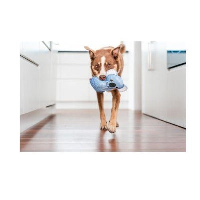 Red Dingo Durables Koala Dog Toy
