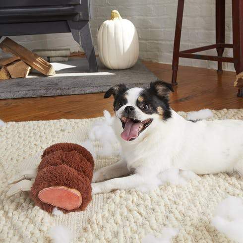 $18 ONLY: BarkShop Wreck of Lamb Dog Plush Toy