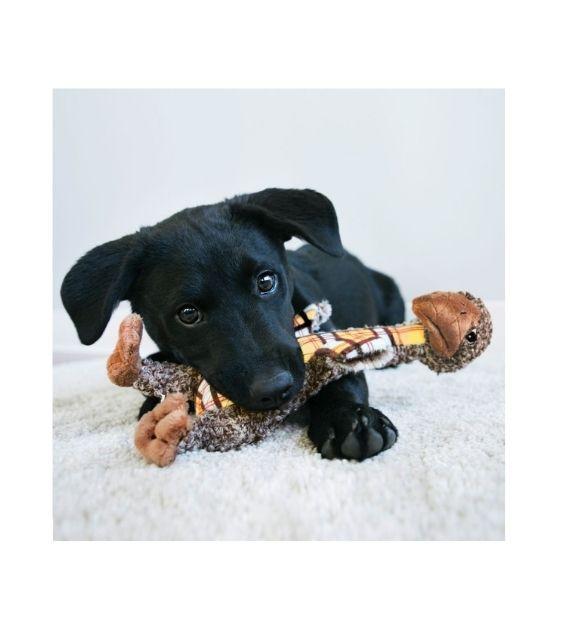 KONG Shakers Luvs Giraffe Dog Toy