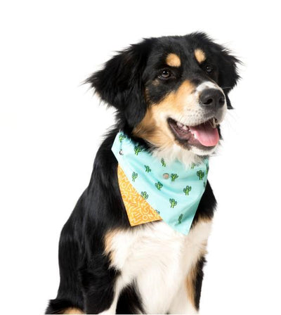 FuzzYard Tucson Bandana For Cats & Dogs