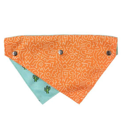 FuzzYard Tucson Bandana For Cats & Dogs