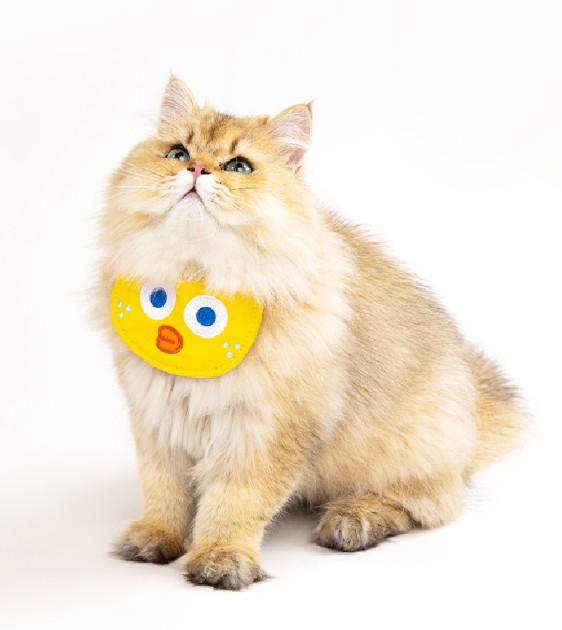 Pidan Pet Bib Collar For Cats & Dogs