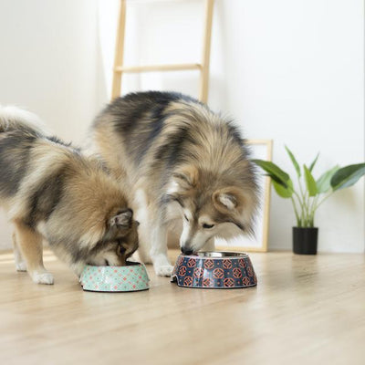Ohpopdog Peranakan Inspired Straits Mint 17 Non-Slip Dog Feeding Bowl - 2 dogs