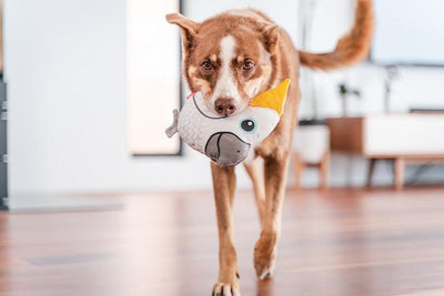 Red Dingo Durables Cockatoo Dog Toy - Big Dog Play