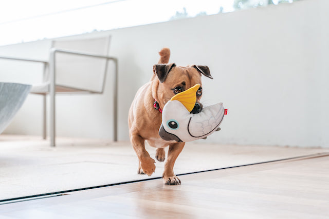 Red Dingo Durables Cockatoo Dog Toy - Small Dog Play