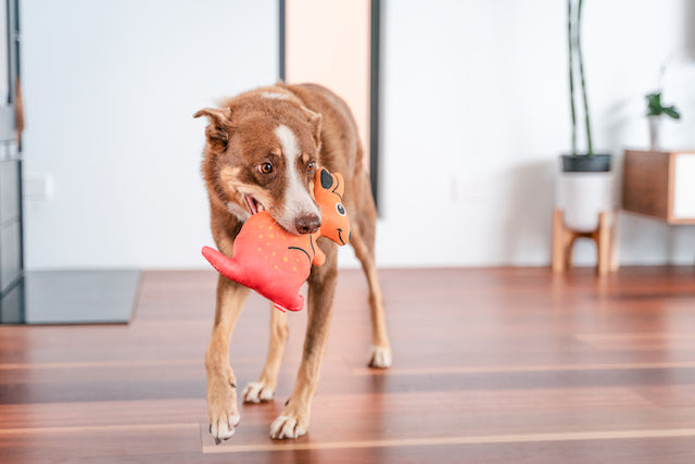 Red Dingo Durables Kangaroo Dog Toy - Big Dog Play