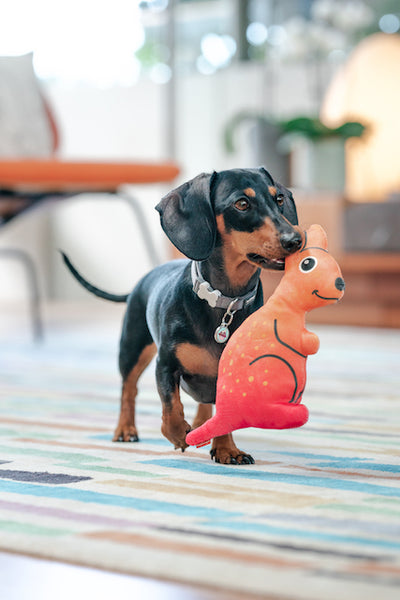 Red Dingo Durables Kangaroo Dog Toy - Small Dog Play