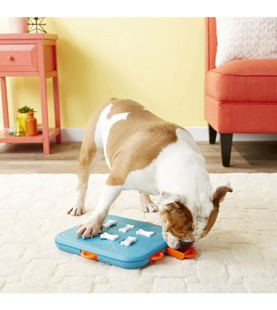 Outward Hound Dog Casino Plastic Interactive Dog Toy