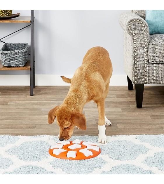 Outward Hound Nina Ottosson Dog Smart Interactive Dog Toy