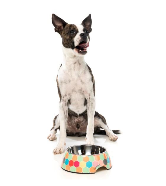 FuzzYard The Hive Dog Feeding Bowl