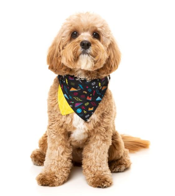 FuzzYard Bel Air Bandana For Cats & Dogs