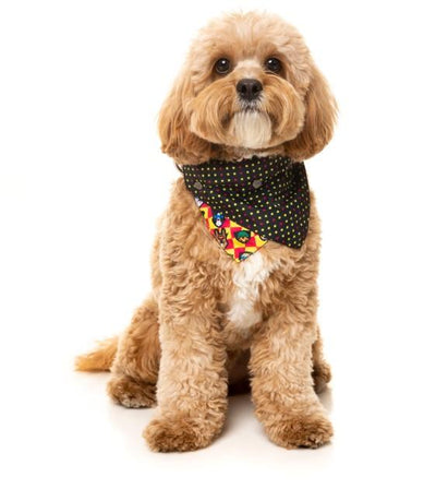 FuzzYard Doggoforce Bandana For Cats & Dogs