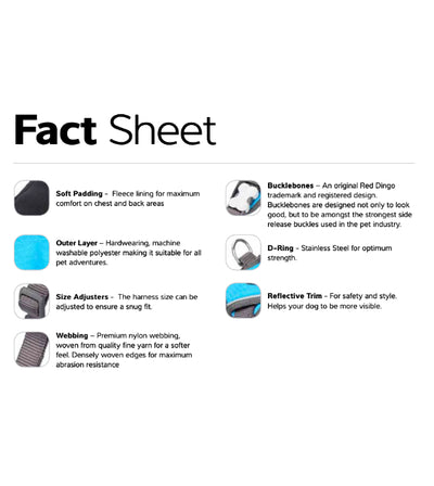 Red Dingo Padded Dog Harness (Turquoise)