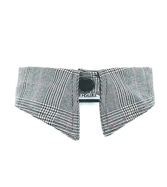 GDP x Thomas Wee Atlas Bespoke Dog Collar