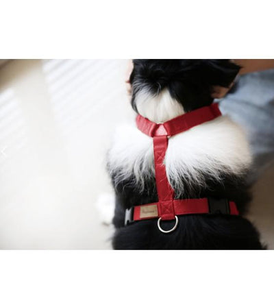 Haqihana Wine Dog Harness