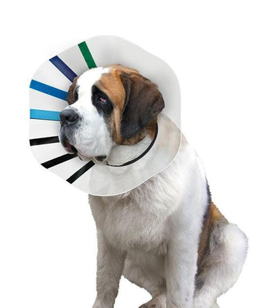 Kong Ez Clear Dog Collar