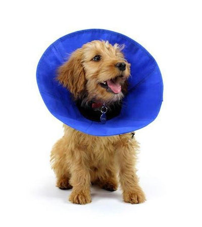 Kong Ez Soft Dog Collar