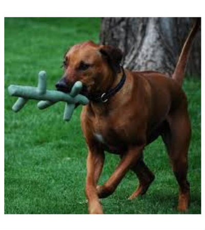 Kong Pet Stix Dog Toy