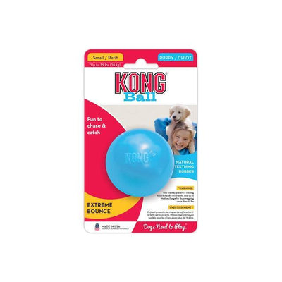 KONG Puppy Ball with hole Dog Toy (Assorted Colours) - blue