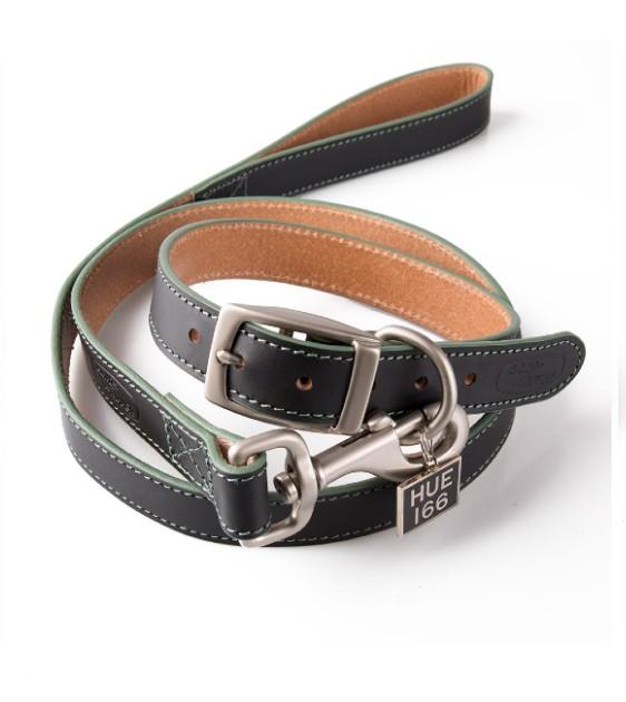 Land Rover Hue Dog Leash & Collar